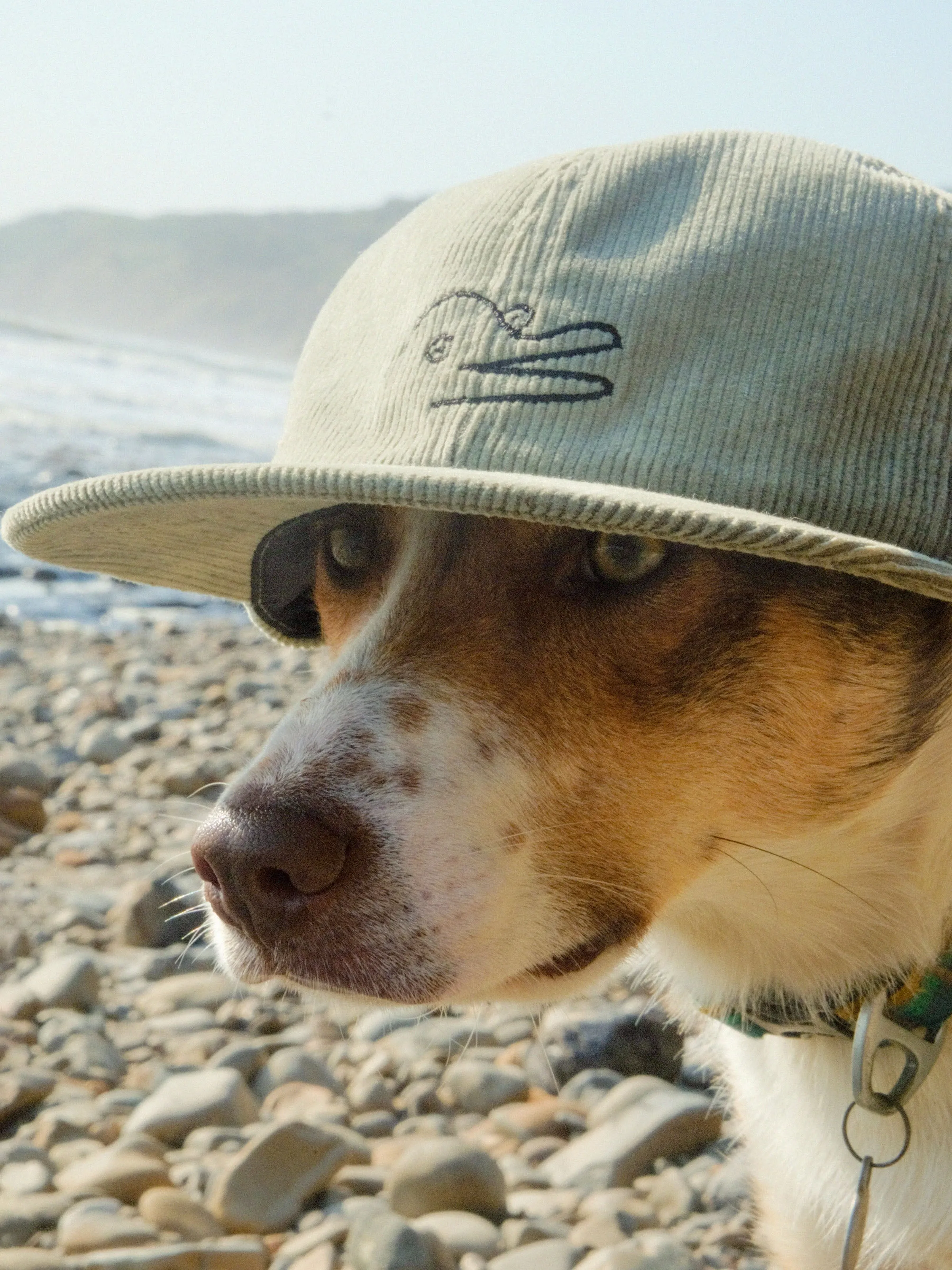 Vans / Mollusk Dolphin Jumper Hat